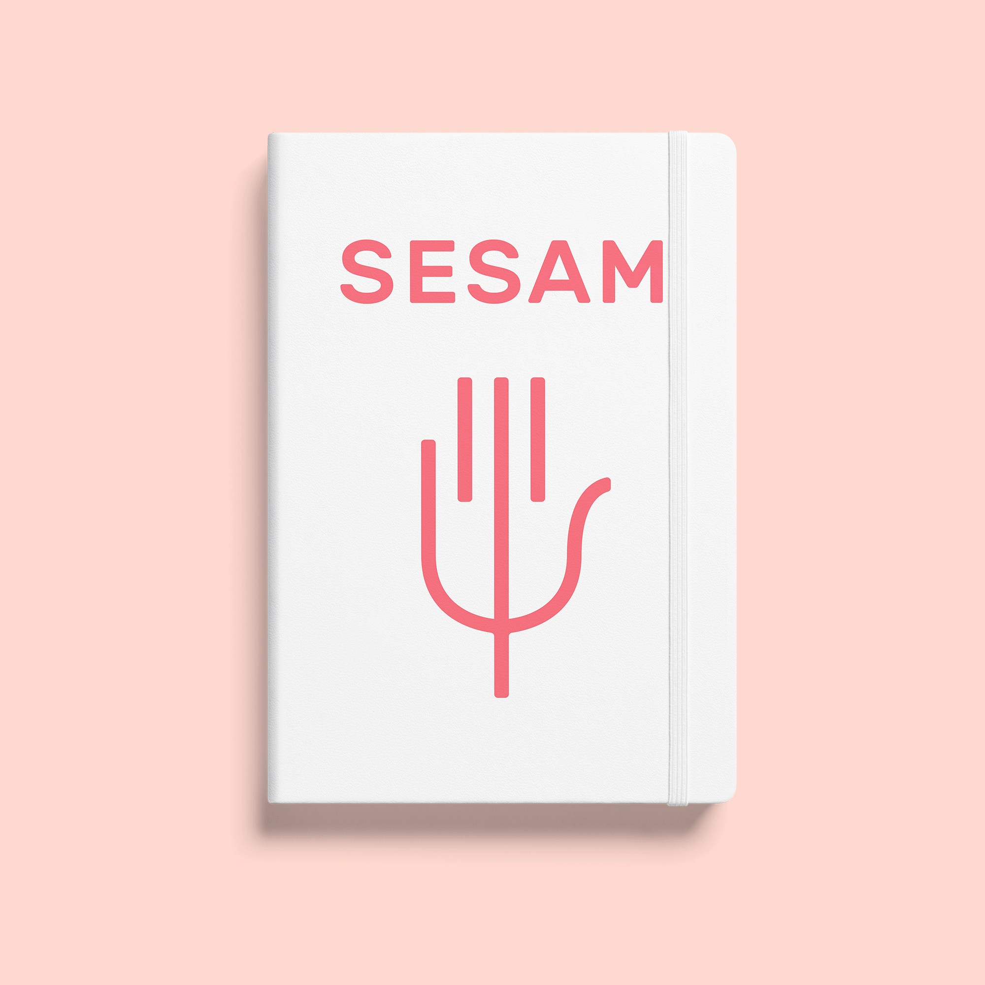 Identité visuel et logo du cabinet SESAM